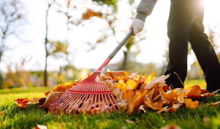 Hausmeister beseitigt Laub im Garten